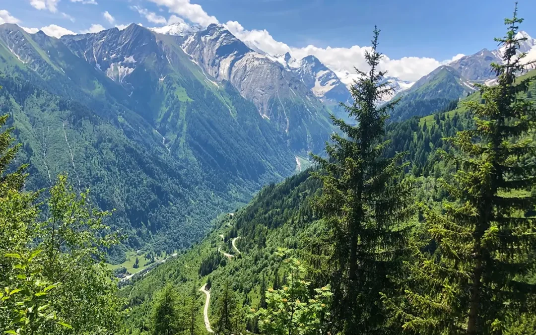 Why you Must Visit Zell am See-Kaprun in Summer