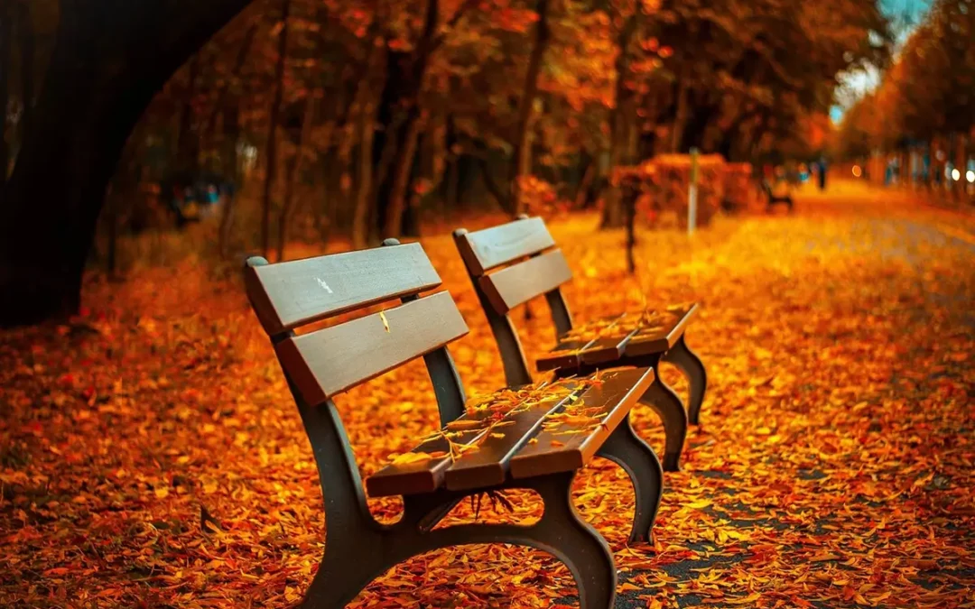 Austria Autumn Bucket List – 14 Must-Do Experiences